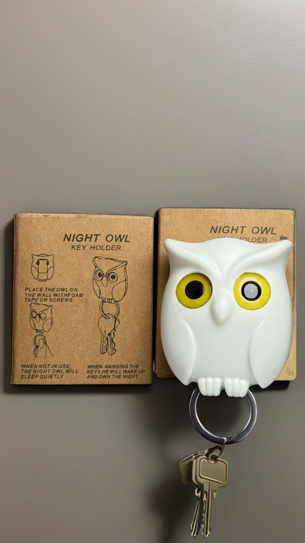 White Owl with Bright Yellow Eyes Key Holder| Hellzone